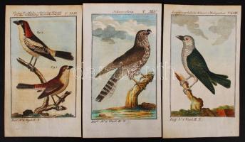 1790 3 db színezett rézmetszet Georges-Louis Leclerc Buffon  Naturgeschichte der Vögel c. könyvéből / 3 etchings from the book 10x17 cm