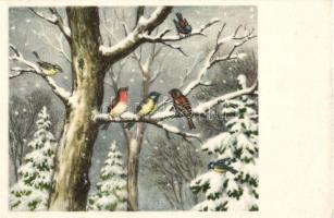 Kis méretű album 28 db RÉGI állatos motívumlappal / Small sized album with 28 old animal motive cards