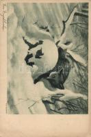 Kis méretű album 28 db RÉGI állatos motívumlappal / Small sized album with 28 old animal motive card...