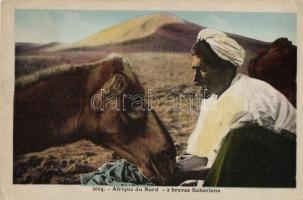 Kis méretű album 28 db RÉGI állatos motívumlappal / Small sized album with 28 old animal motive card...