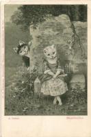 Kis méretű album 28 db RÉGI állatos motívumlappal / Small sized album with 28 old animal motive card...