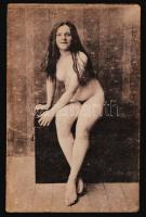cca 1900-1910 Ülő akt, Künstler Akt-Studie, 9x14 cm / cca 1900-1910 Nude photo, 9x14 cm