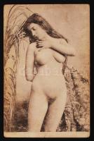 cca 1900-1910 Álló akt, Künstler Akt-Studie, 9x14 cm / cca 1900-1910 Nude photo, 9x14 cm