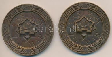 Románia 1972. "Szatmárnémeti 1000 éves" 2xklf román nyelvű emlékérem (65mm) T:2
Romania 19...