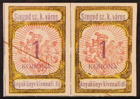 1913 Szeged sz.k. város Anyakönyvi kivonati díj 1K pár, benne "lij" tévnyomat