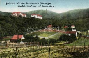 Budakeszi, Erzsébet Szanatórium, Jánoshegy
