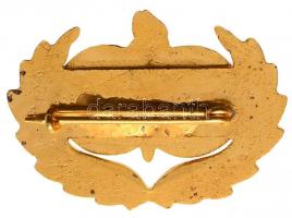 ~1970. Szovjet-magyar barátsági jelvény, aranyozott, eredeti tokban T:2