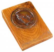 ~1960. "Lenin Kohászati Művek Diósgyőr" Br emlékérem fatalpon (50mm) T:12