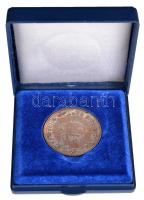 1867. "A Buda Pesti Koronázás / Éljen a Haza és Az Alkotmány" Br koronázási zseton T:3