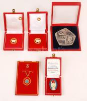 ~1960-1970. 5db klf szocialista kitüntetés és plakett dísztokban: "Kiváló Pénzügyi Dolgozó" miniatűrrel (2x) + "BM Iskolai Záró Ünnepsége" + "Szocialista Biztosításért - Állami Biztosító" miniatűrrel + "MSZMP Központi Bizottsága Agitációs és Propaganda Osztálya" T:1,2