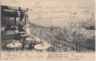 Budapest I. Kilátás a Gellérthegy Kioszkról, Királyi vár, kiadja Auer I.