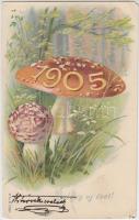 1905 New Year, mushrooms Emb. litho (EM)