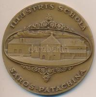 DN "Comenius 1592-1670 - Sárospatak" Br emlékérem (70mm) T:1-,2