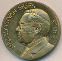 Tóth Sándor (1933-) 2004. "Dr Seregélyi István érsek / Főegyházmegyei Millennium Eger" T:1...