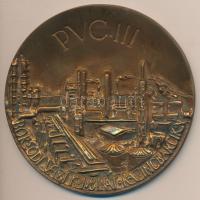 DN "Borsodi Vegyi Kombinát Kazincbarcika - PVC III" Br plakett (96mm) T:2