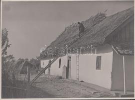 cca 1930 Belházy Dezső: Nádtető javítása, aláírt vintage fotóművészeti alkotás, 17x23 cm