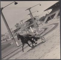 cca 1930 Ügető pályán, 12x13 cm