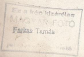 cca 1950-1956 Farkas Tamás: Dyka Margit színésznő portréja, pecséttel jelzett vintage fotó, 27x20 cm