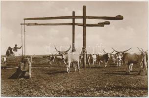 Hortobágy - 2 db régi képeslap / 2 old postcards