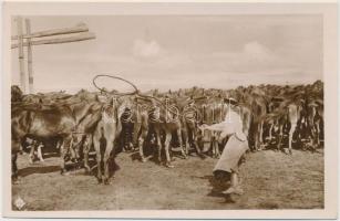 Hortobágy - 2 db régi képeslap / 2 old postcards