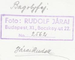 cca 1950 Járai Rudolf (1913-1993): Bagolyfej, pecséttel jelzett vintage fotó, 24x18 cm