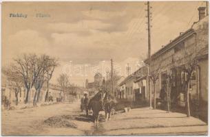 Párkány, Fő utca / main street (fa)