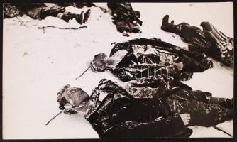 1941 Volokalamszk, szovjet hazafiak, akiket a fasiszta barbárok végeztek ki, oroszul és magyarul feliratozott vintage háborús fotó, 18x30 cm