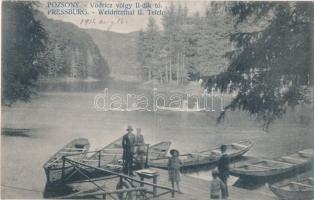 Pozsony, Vödricz-völgy II-dik tó; kiadja Kaufmann