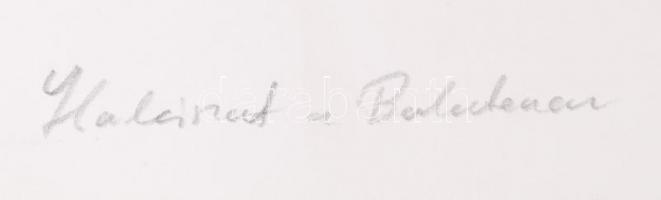 cca 1950 Balatoni halászat, hátoldalán feliratozva, 17x10 cm