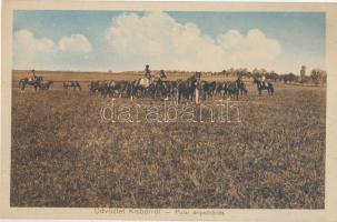 Kisbér, Pulai anyaménes