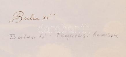 cca 1910 Bilea (Balea)-tó a Fogarasi-havasokban, hátoldalán feliratozva, 18x13 cm