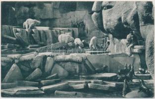 Budapest XIV. Állatkert, jegesmedvék és fókák, a székesfővárosi állatkert kiadása, 11. szám (EM)