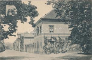 Weimar, Liszthaus / Liszt house