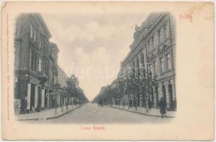 Braila, Calea Regala / street, shop of V. Pandelescu (fl)