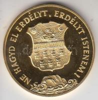 1991. "Temesvár - Erdély" aranyozott fém emlékérem (42,5mm) T:PP