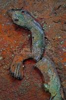 Kun Éva (1948-): Álmodozó. Raku kerámia, kézzel festett, jelzett, hibátlan, m:67 cm