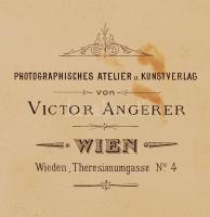 1890 Tátrafüred keményhátú fotó / photo 17x11 cm