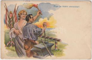 Hungarian irredenta So. Stpl (fa)