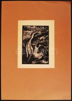 Szőnyi István (1894-1960): Napsütés. Fametszet, papír, jelzett a dúcon, 11×8 cm