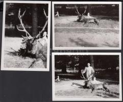 3 db vadász fotó, 5×8 cm