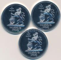 2009. "Királyi Párok" 3db ezüstözött réz nikkel emlékérem eredeti dísztokban, tanúsítvánny...