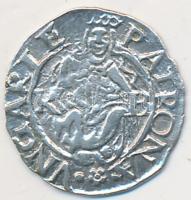 1575K-B Denar Ag "Miksa" (0.48g) T:2- Tanúsítvánnyal Huszár.:993, Unger II.:767.a