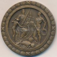 1912. "Budapest Székesfővárosi Közlekedési Részvénytársaság Sportegyesülete A Sport Terén Elért...