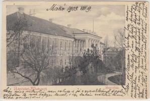 Makó Megyeház (fa)