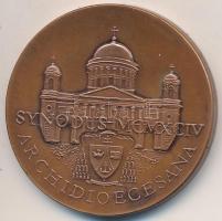 Bozó Gyula (1913-2004) 1994. "Esztergom Synodus" Br emlékérem (42mm) T:1-