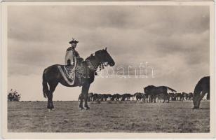 Magyar folklór, ménes a pusztán / Hungarian folklore, horses herd
