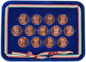 DN "Aradi vértanúk" 13xklf Br emlékérem falra akasztható éremtartó tokban rögzítve T:1 pecsét törött