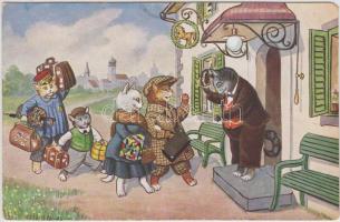 Visiting cat family (EM)