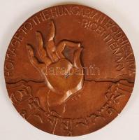 Csíkszentmihályi Róbert (1940-): Kőrösi Csoma Sándor. Bronz, számozott: 108/93, jelzett, két oldalas...