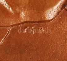 Csíkszentmihályi Róbert (1940-): Kőrösi Csoma Sándor. Bronz, számozott: 108/93, jelzett, két oldalas...